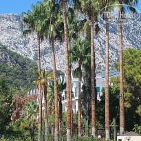 фото из отзыва ID 2732556