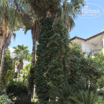 фото из отзыва ID 2732573