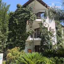 фото из отзыва ID 2732573