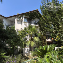 фото из отзыва ID 2732573