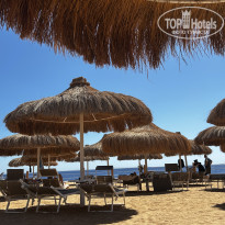 фото из отзыва ID 2732600