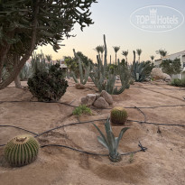 фото из отзыва ID 2731389