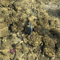 фото из отзыва ID 2731389