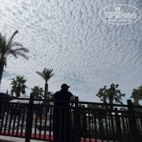 фото из отзыва ID 2732623