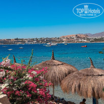 фото из отзыва ID 2732624