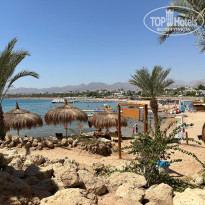 фото из отзыва ID 2732624