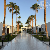 фото из отзыва ID 2732631