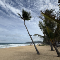 фото из отзыва ID 2732531