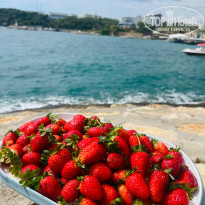 фото из отзыва ID 2732644