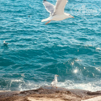 фото из отзыва ID 2732644