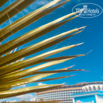 фото из отзыва ID 2732644