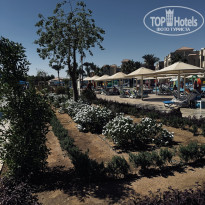 фото из отзыва ID 2732655