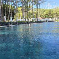 фото из отзыва ID 2732663