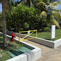 фото из отзыва ID 2732671