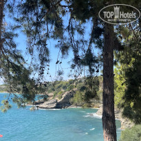 фото из отзыва ID 2732679