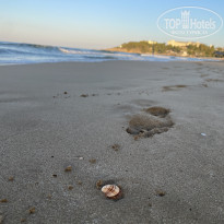 фото из отзыва ID 2732679