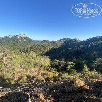 фото из отзыва ID 2732696