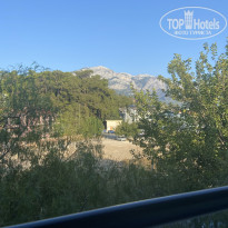 фото из отзыва ID 2732696