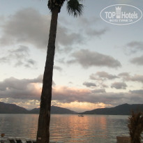 фото из отзыва ID 2732711