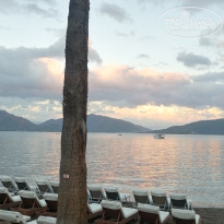 фото из отзыва ID 2732711