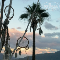 фото из отзыва ID 2732711