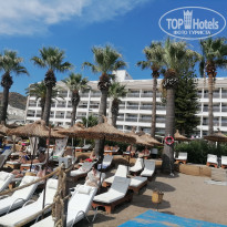 фото из отзыва ID 2732711