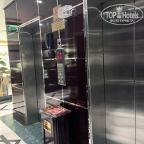 фото из отзыва ID 2732712