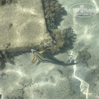 фото из отзыва ID 2730395