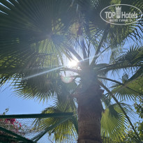 фото из отзыва ID 2732735