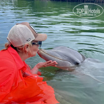 фото из отзыва ID 2732746