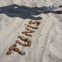 фото из отзыва ID 2732745