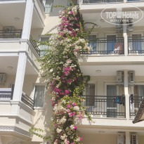 фото из отзыва ID 2732751