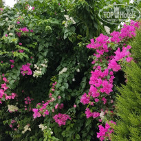 фото из отзыва ID 2732751