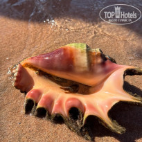 фото из отзыва ID 2732753