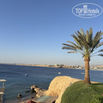 фото из отзыва ID 2732753