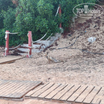 фото из отзыва ID 2732770