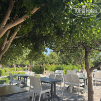 фото из отзыва ID 2732801