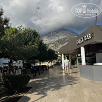 фото из отзыва ID 2732801