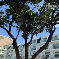 фото из отзыва ID 2732801