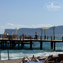 фото из отзыва ID 2732801