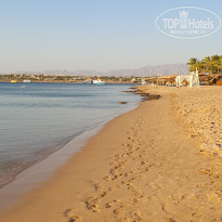 фото из отзыва ID 2732809