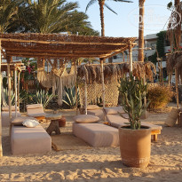 фото из отзыва ID 2732809