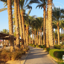 фото из отзыва ID 2732809