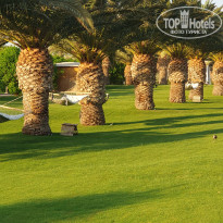 фото из отзыва ID 2732809