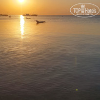 фото из отзыва ID 2732809