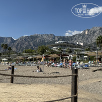 фото из отзыва ID 2732811