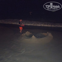 фото из отзыва ID 2732849