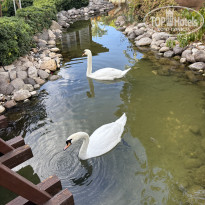 фото из отзыва ID 2732863