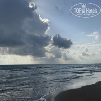 фото из отзыва ID 2732879