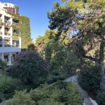 фото из отзыва ID 2732900